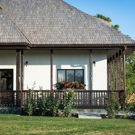 Pensiunea Tara Fagilor Suceava Bagian luar foto