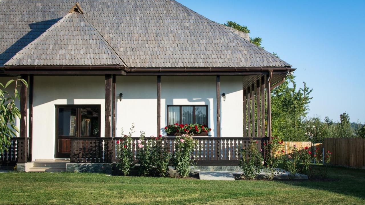 Pensiunea Tara Fagilor Suceava Bagian luar foto